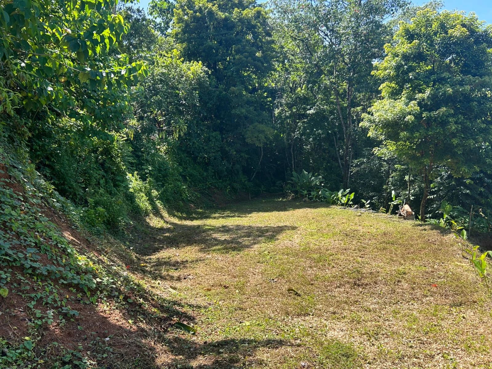 Land at Las Brisas