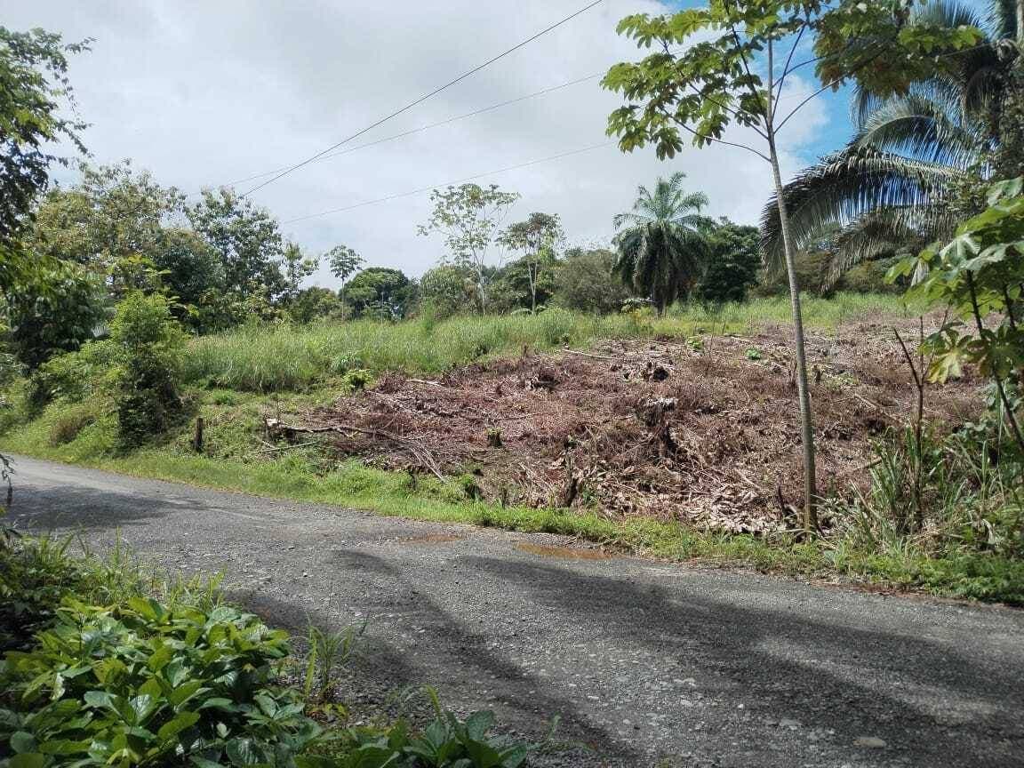 Propiedad en Parrita