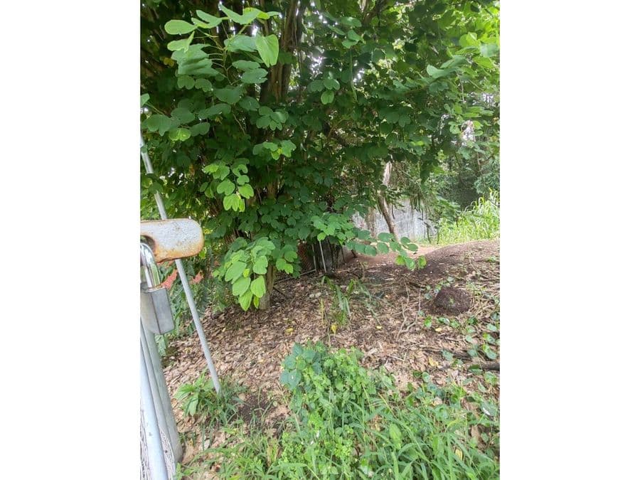 Terreno en San Rafael