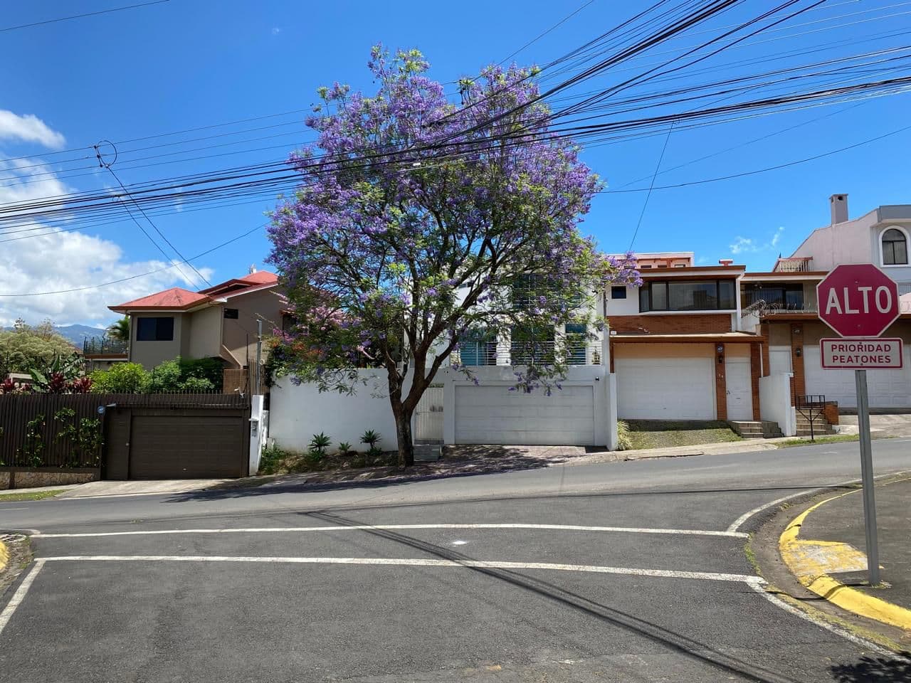 Property at Sánchez