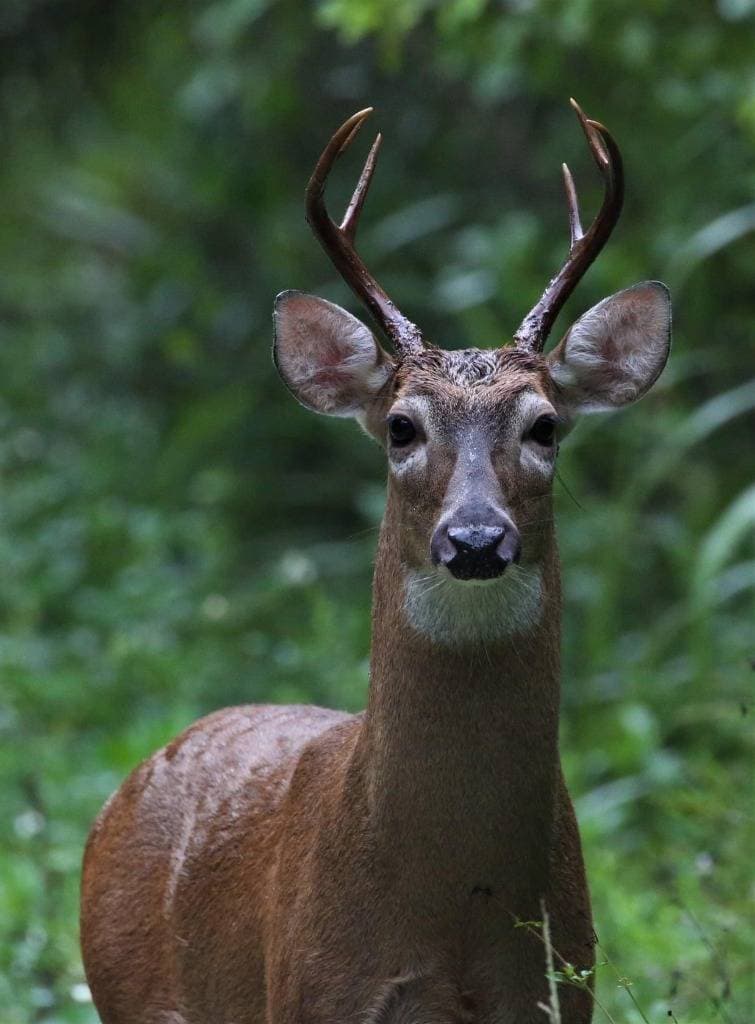 Propiedad en La Virgen
