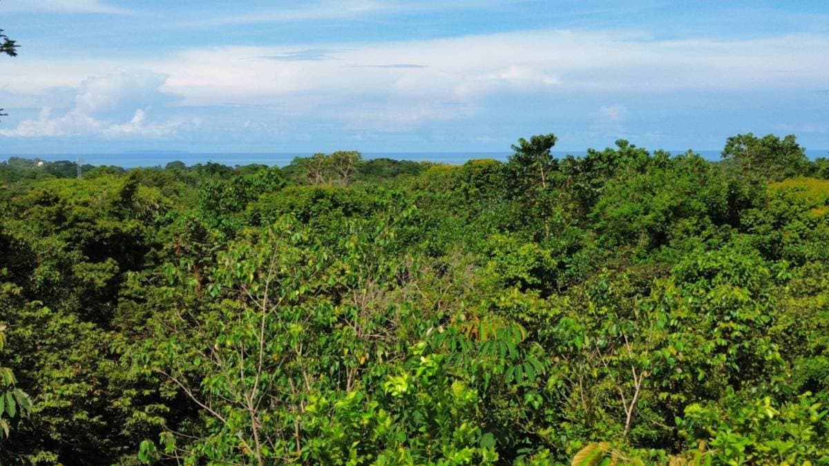 Propiedad en Ojochal