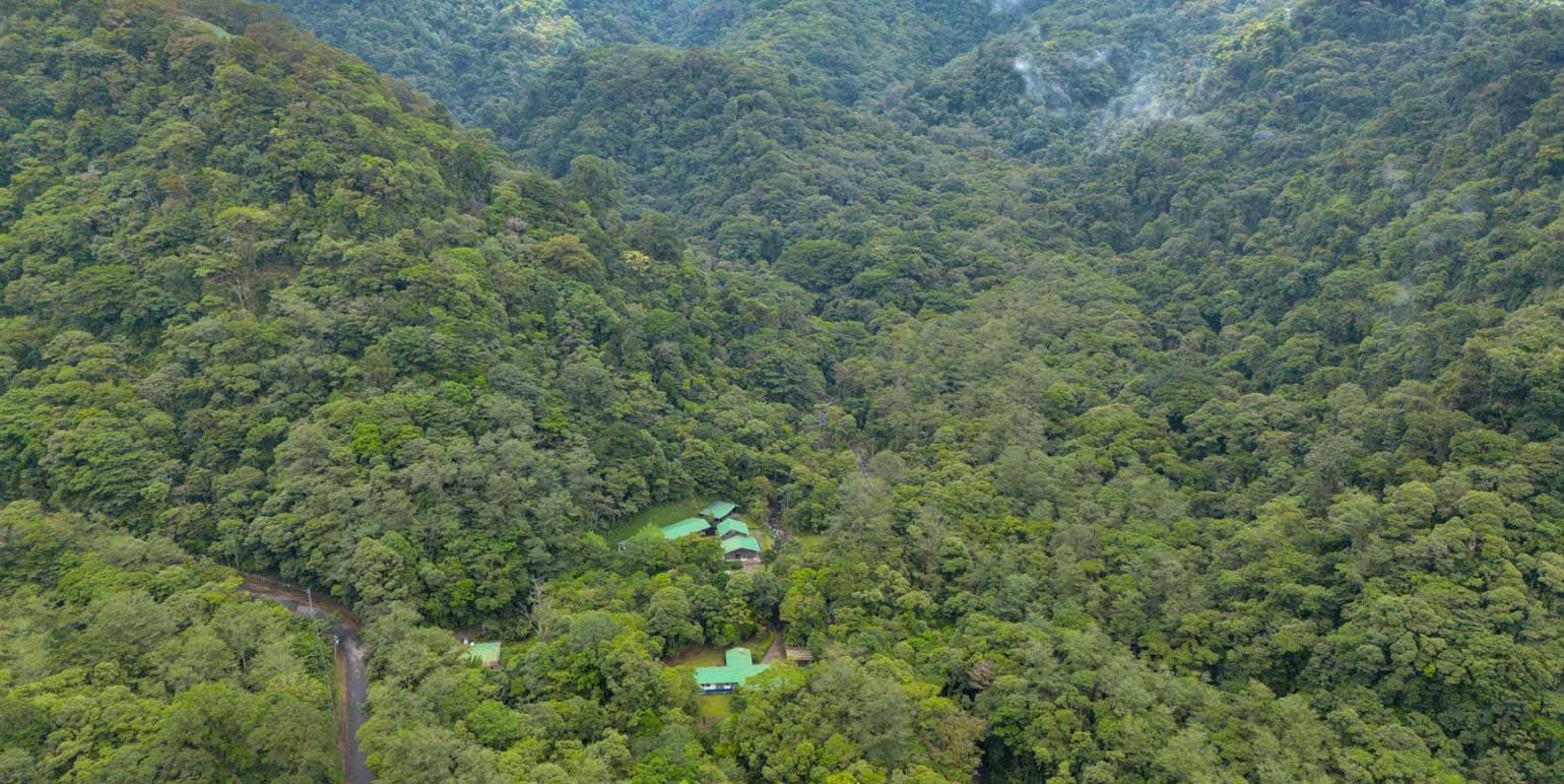 Otro en Toro Amarillo