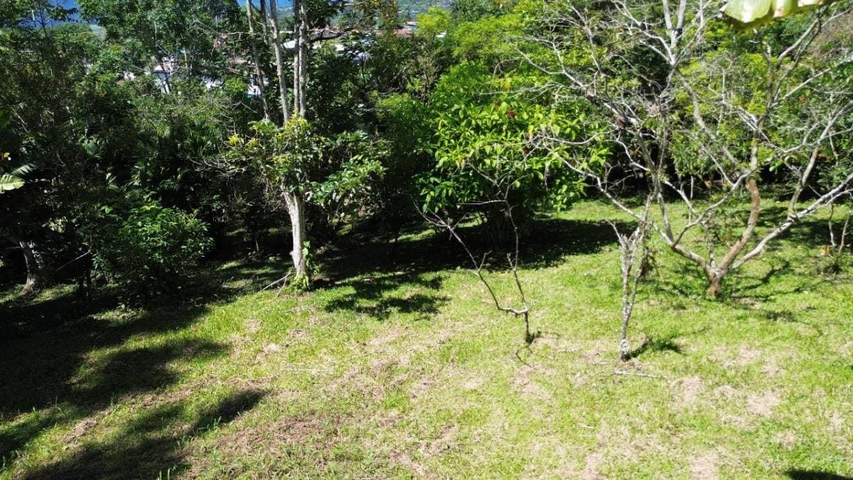 Propiedad en Turrialba