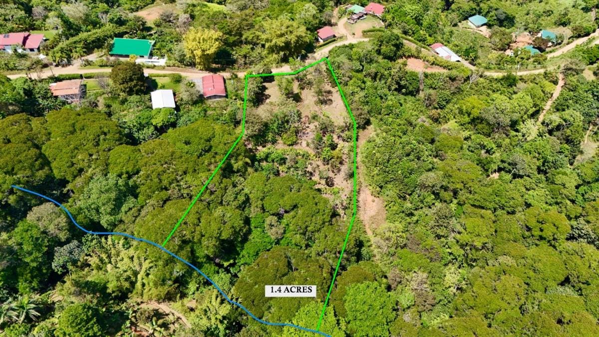 Property at Platanillo