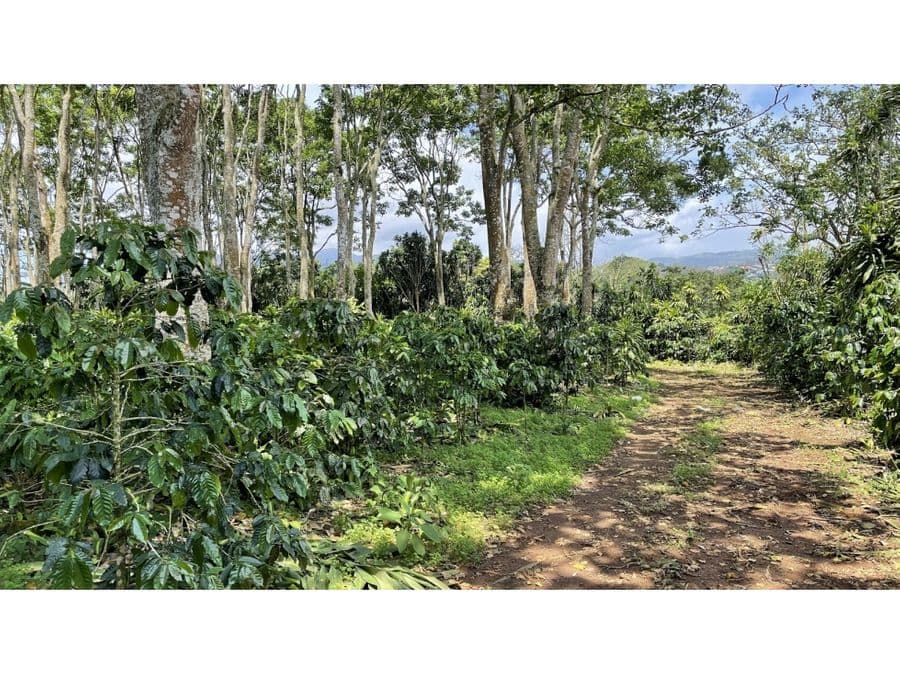 Propiedad en San Isidro