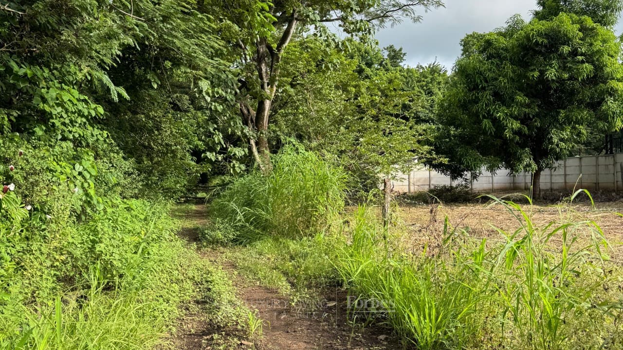 Terreno en Tamarindo