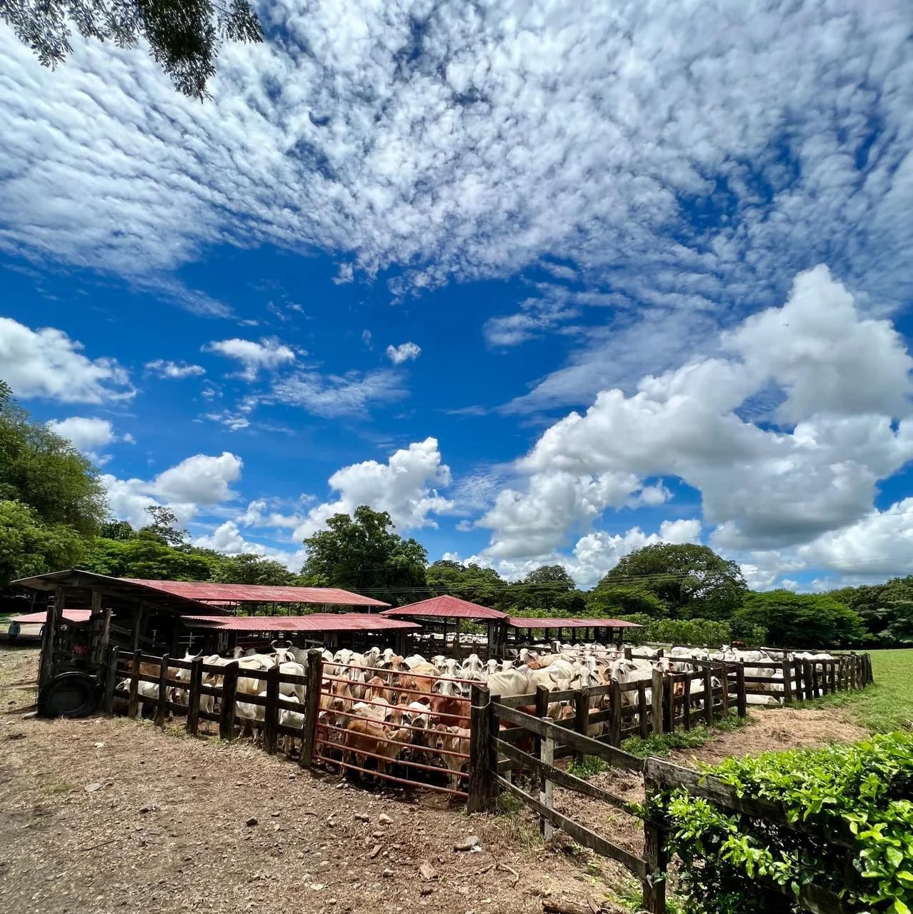 Property at Guanacaste