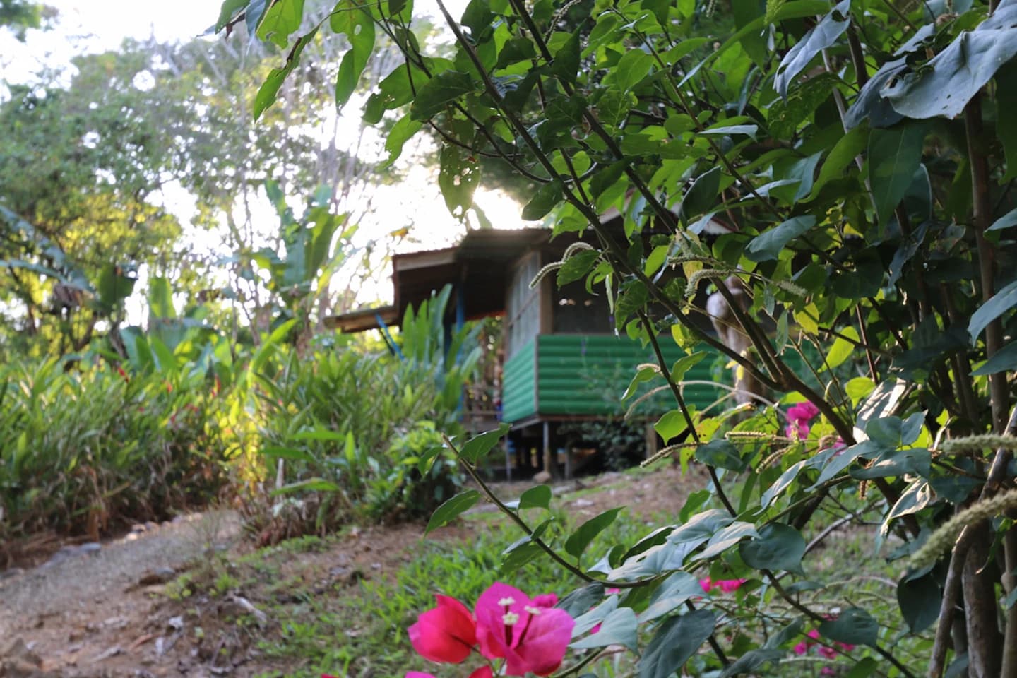 Property at Osa