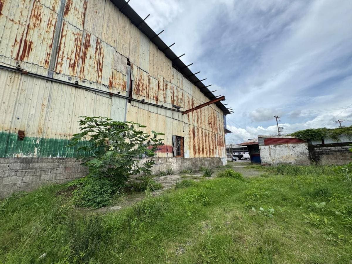 Bodega en Guadalupe
