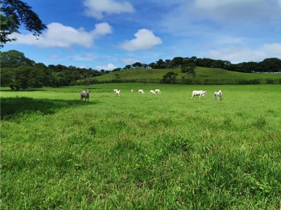 Land at Abangares