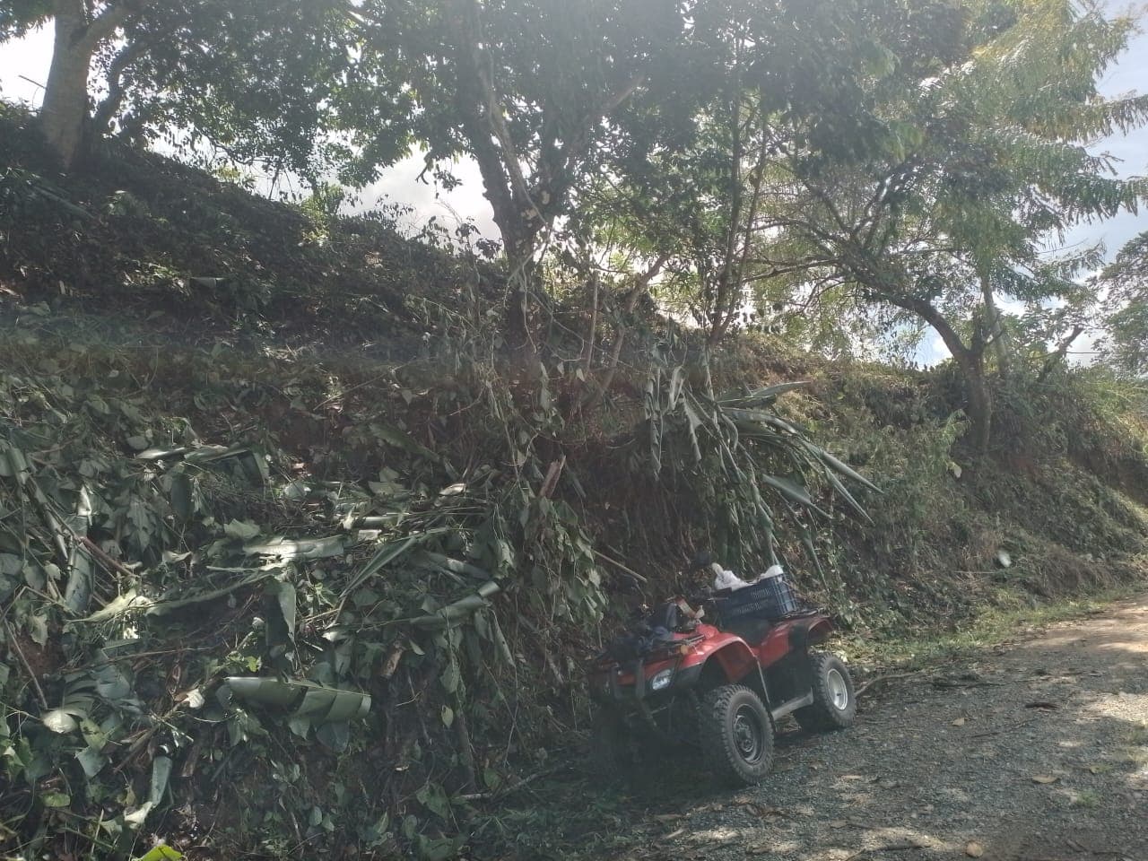 Terreno en Palmichal