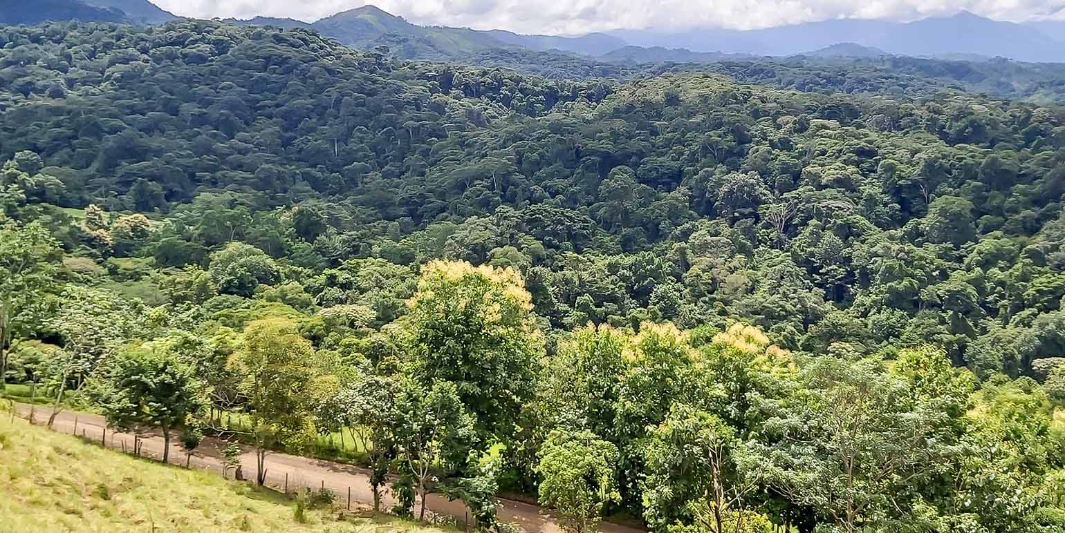 Propiedad en Barbacoas