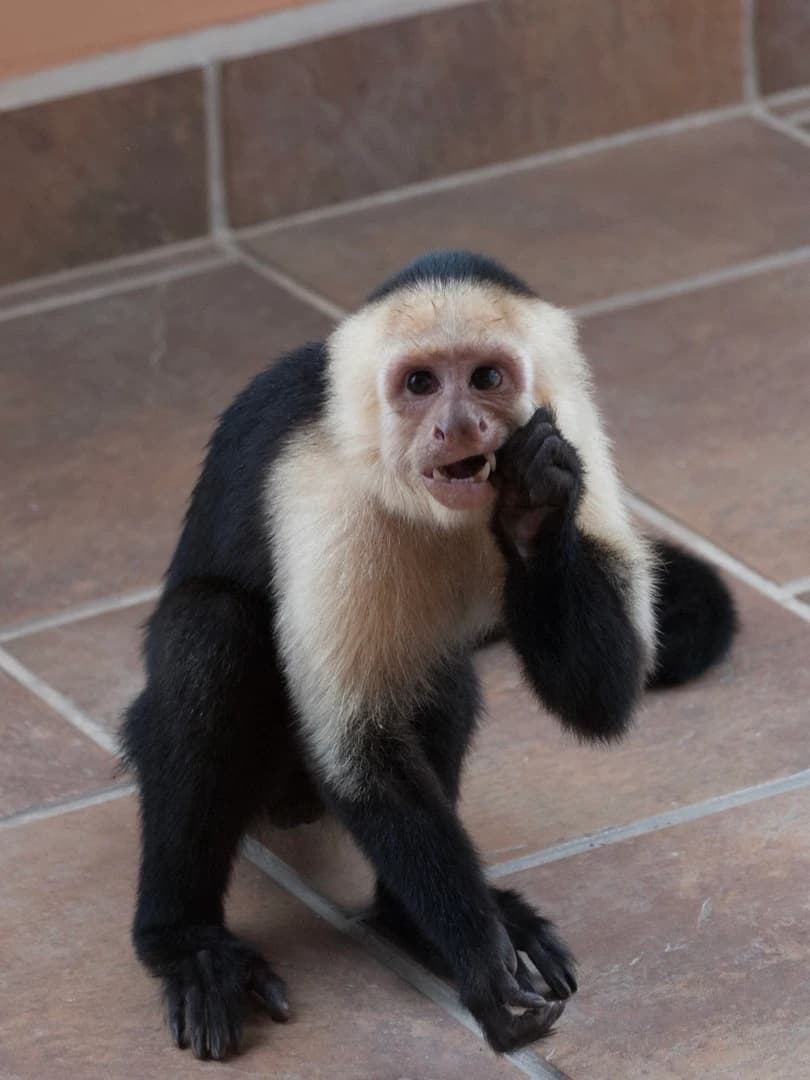 Property at Condominio Pacifico Colonial