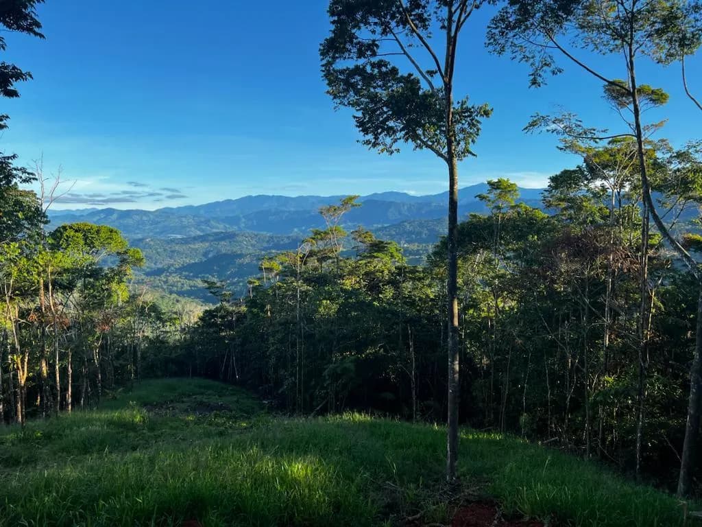 Terreno en Osa