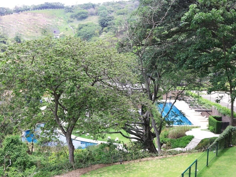 Property at Santa Ana