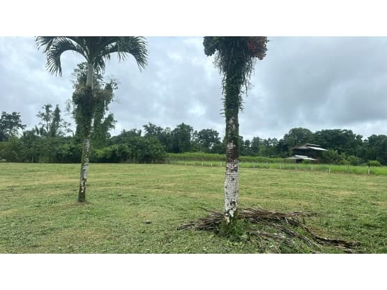 Property at Limón