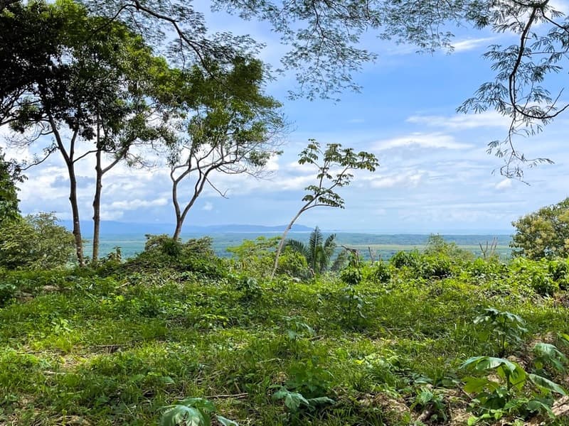 Land at Puerto Cortés