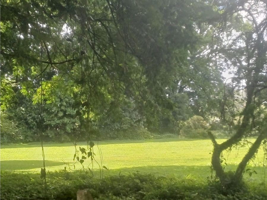 Property at Cariari