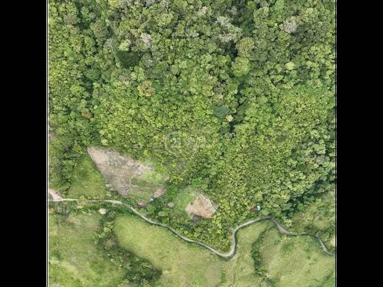 Propiedad en Tucurriqué