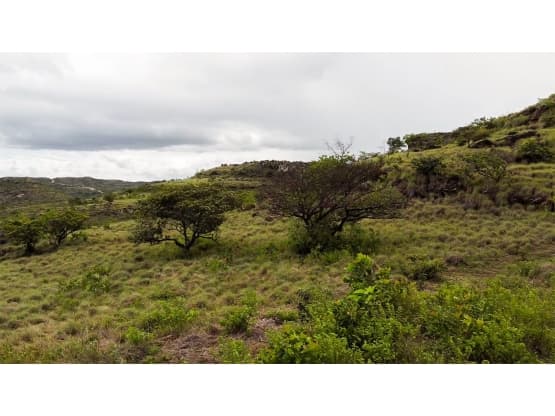 Propiedad en Guanacaste
