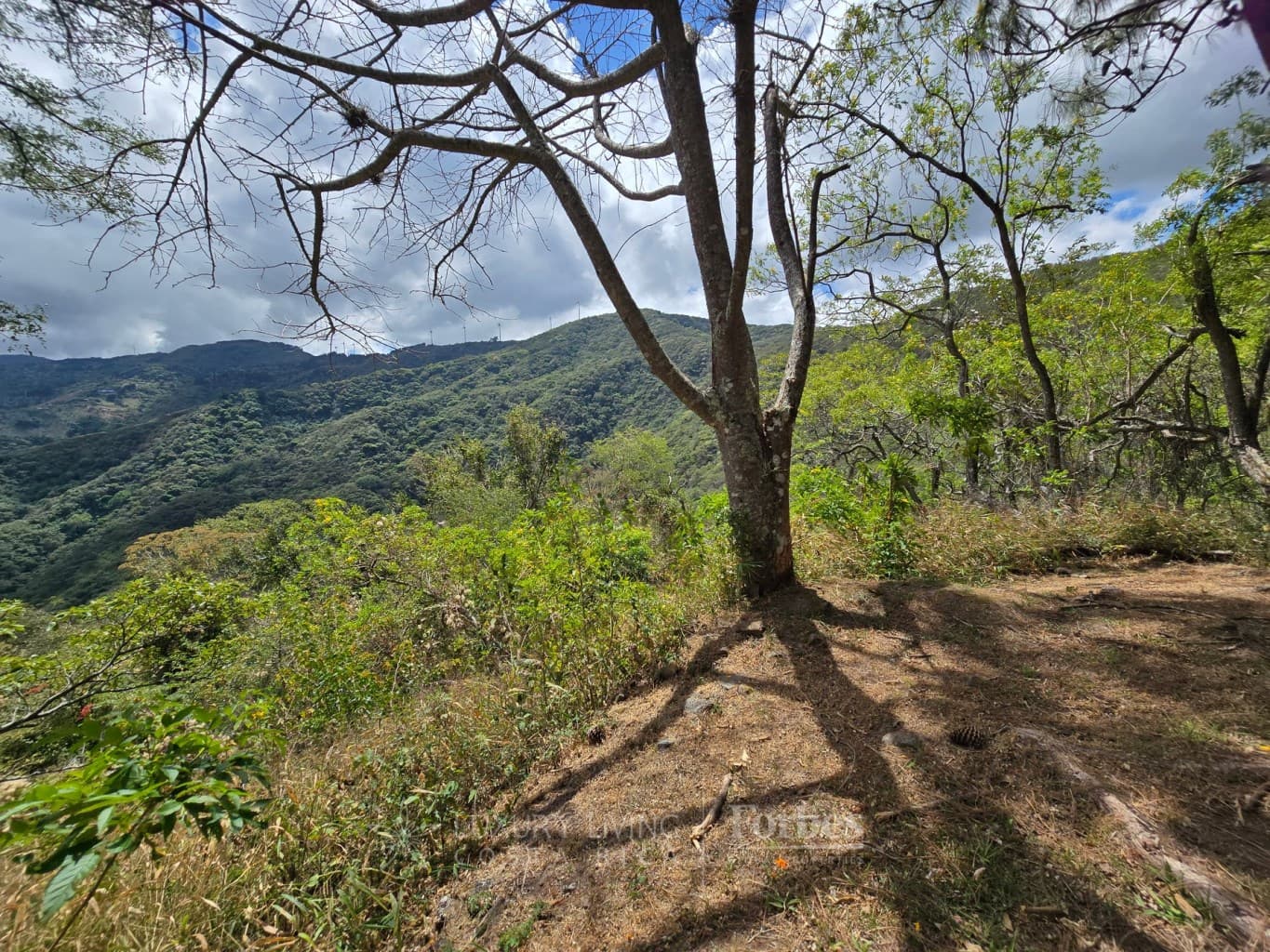 Property at Piedades