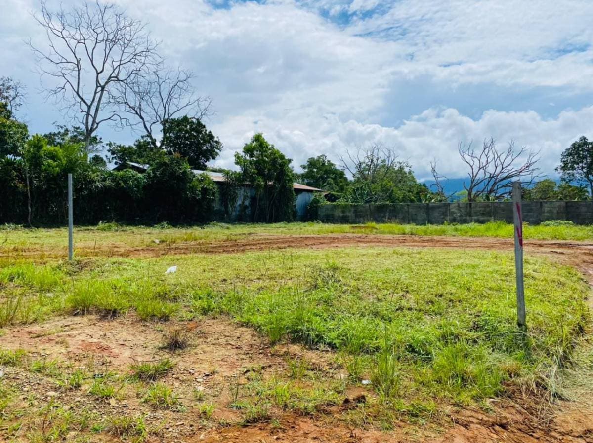 Property at Daniel Flores