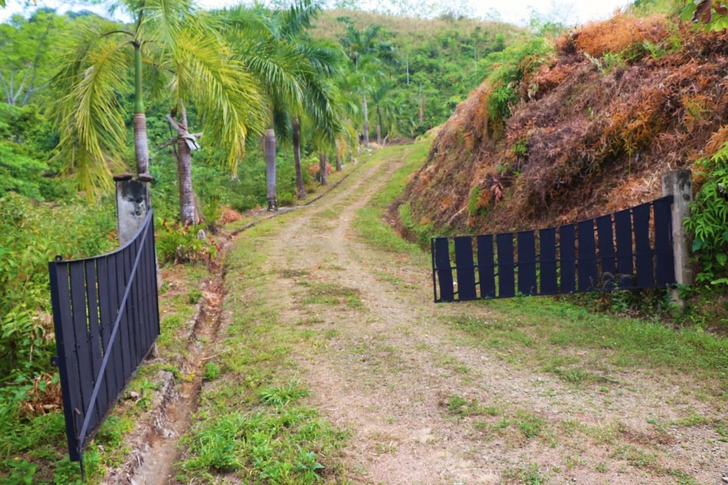 Terreno en Puerto Cortés