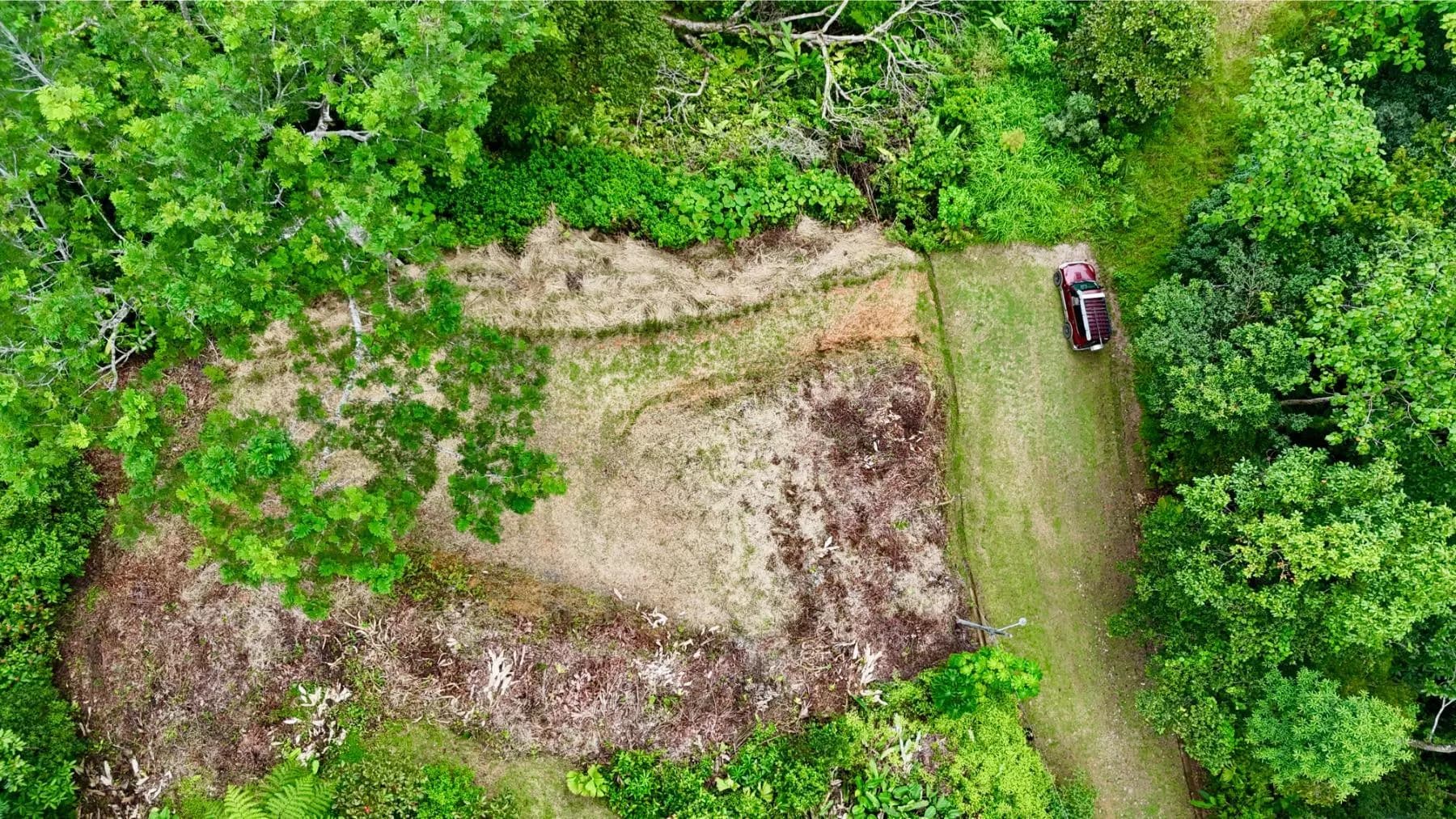 Terreno en Bahía Ballena