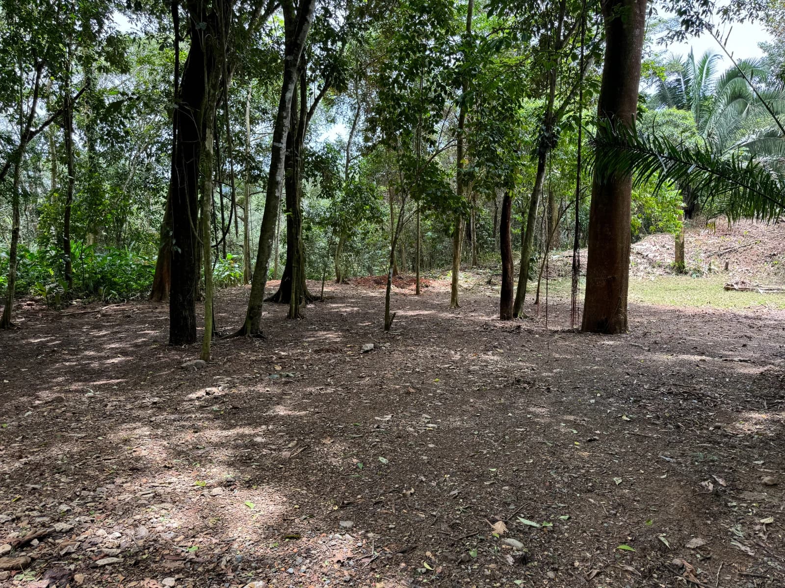 Terreno en Puntarenas