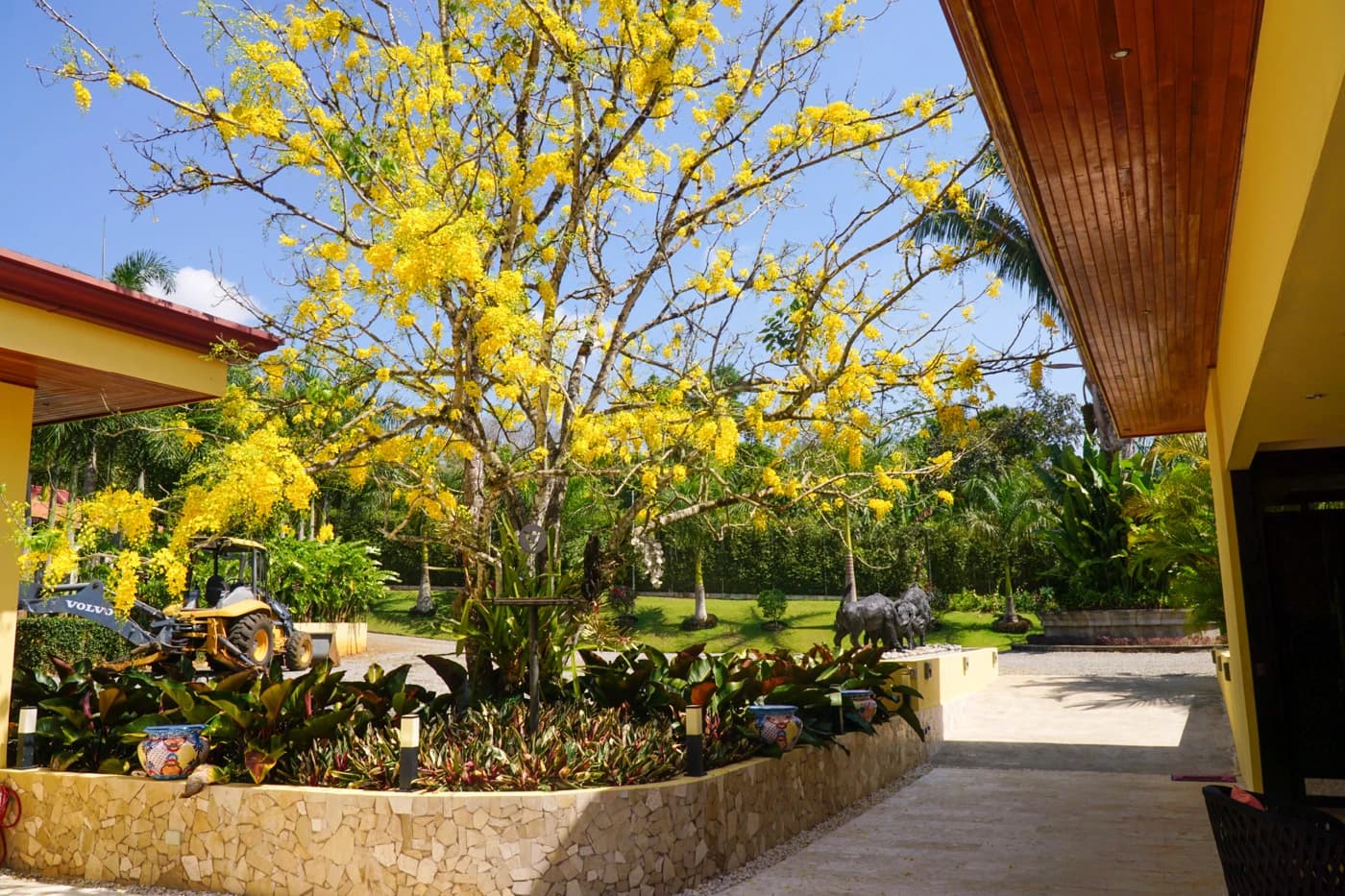 House at San Isidro del General