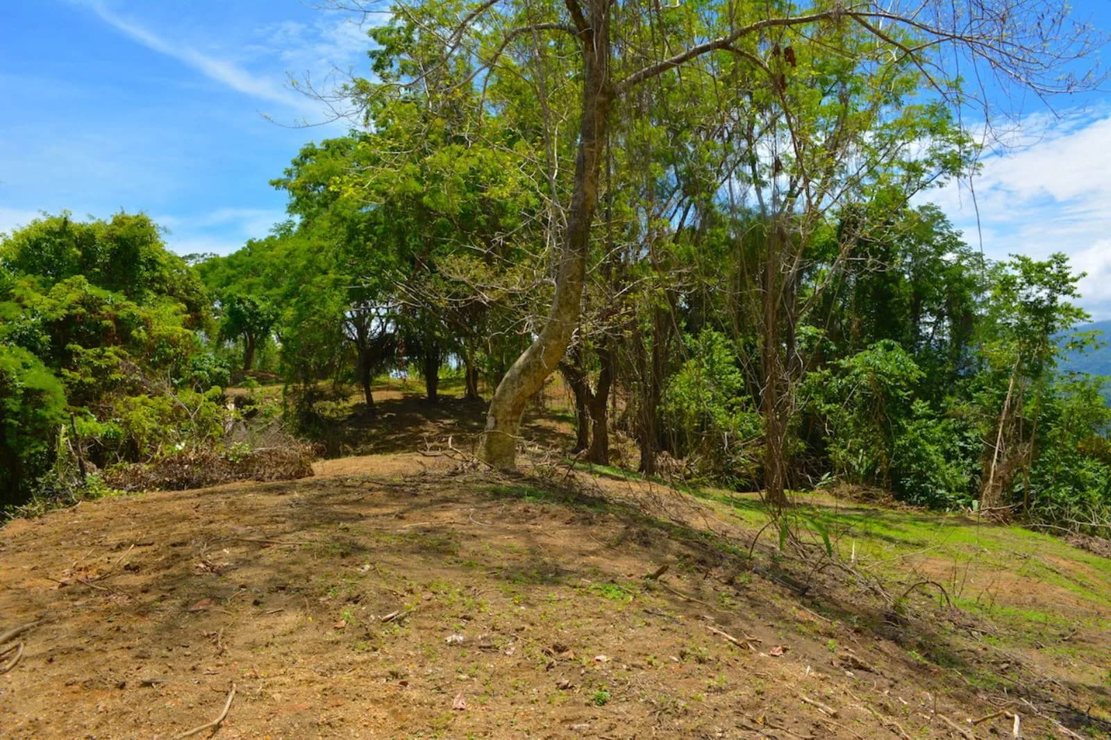 Land at Puerto Cortés