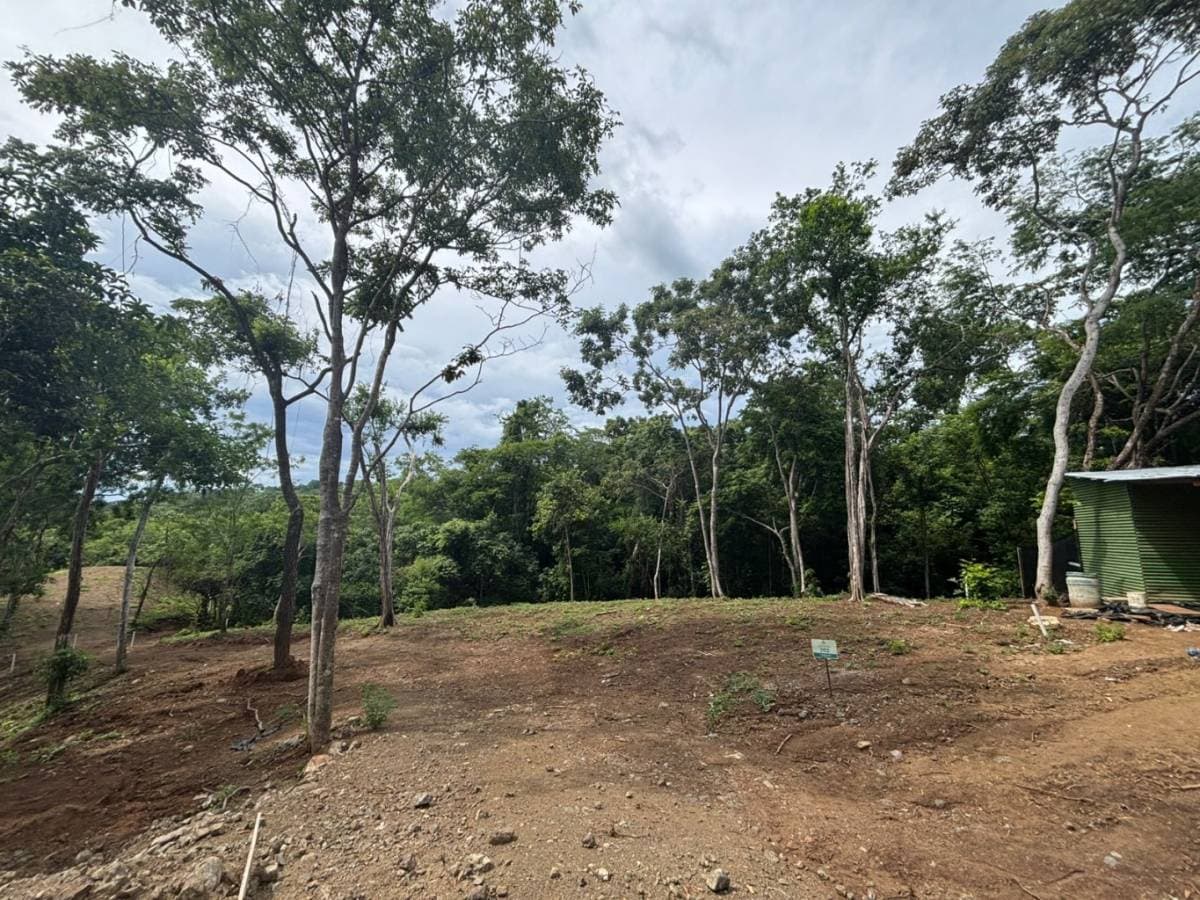 Property at Santa Cruz