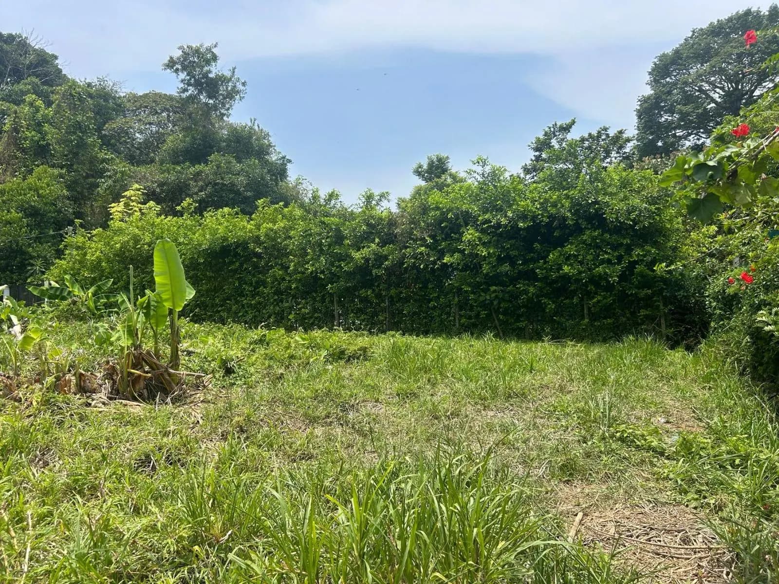 Terreno en Bahía Ballena