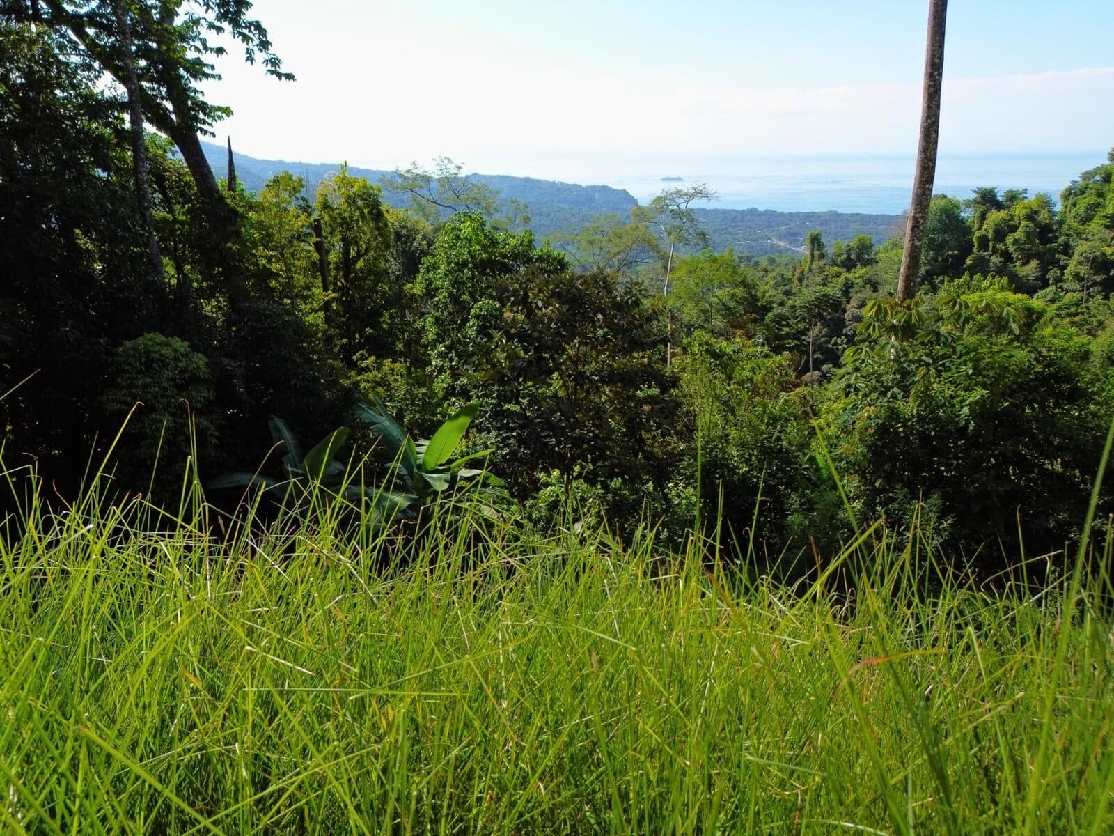 Terreno en Bahía Ballena