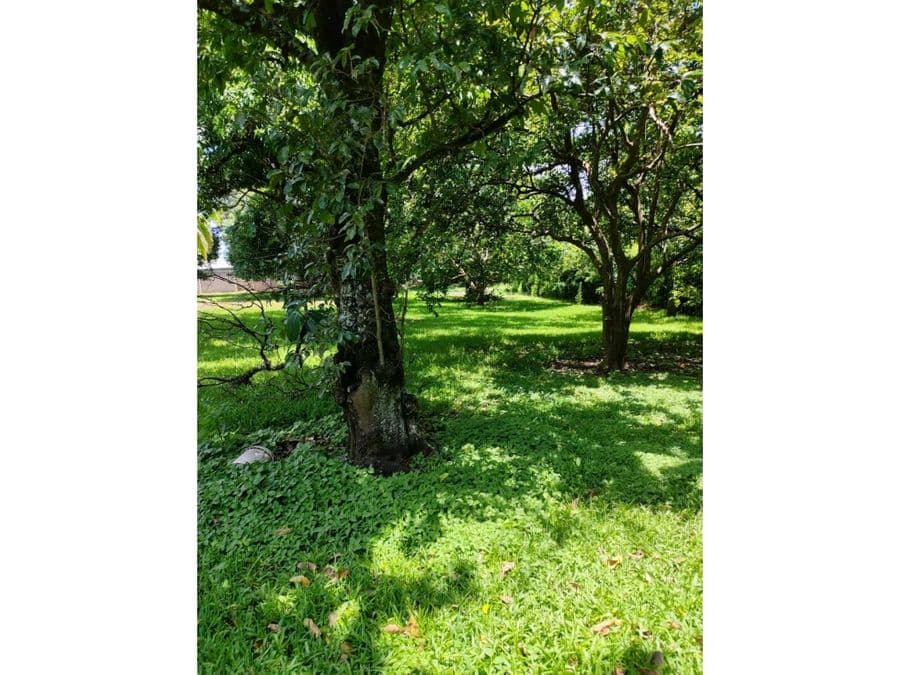 Terreno en Brasil
