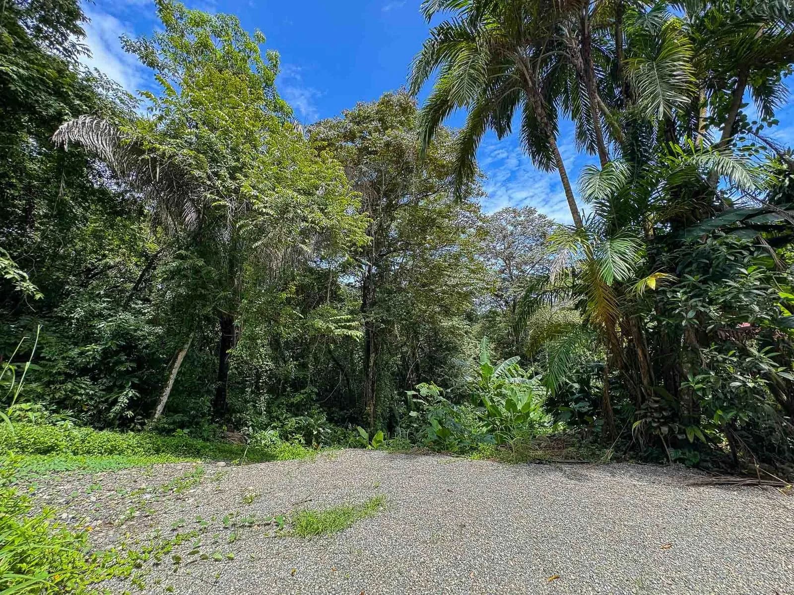 Land at Puntarenas