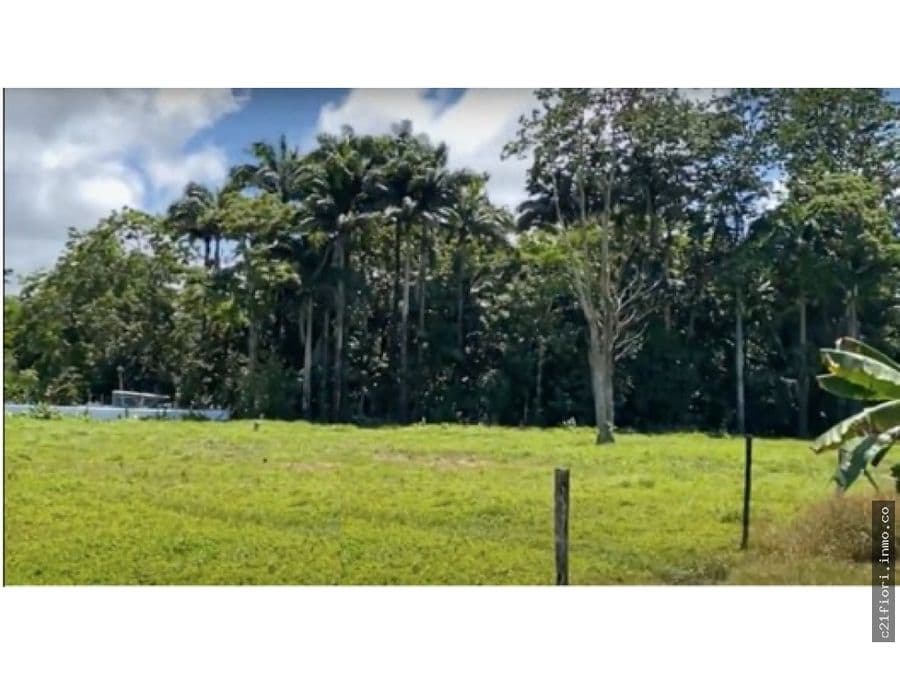 Terreno en Limón