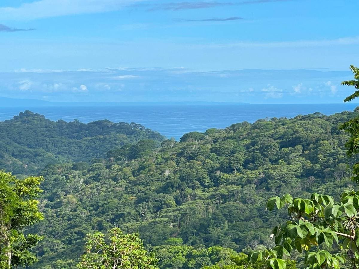 Property at Lagunas