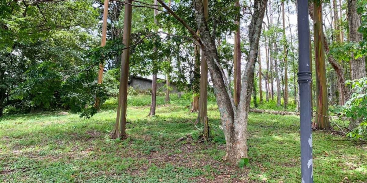 Propiedad en Guachipelin