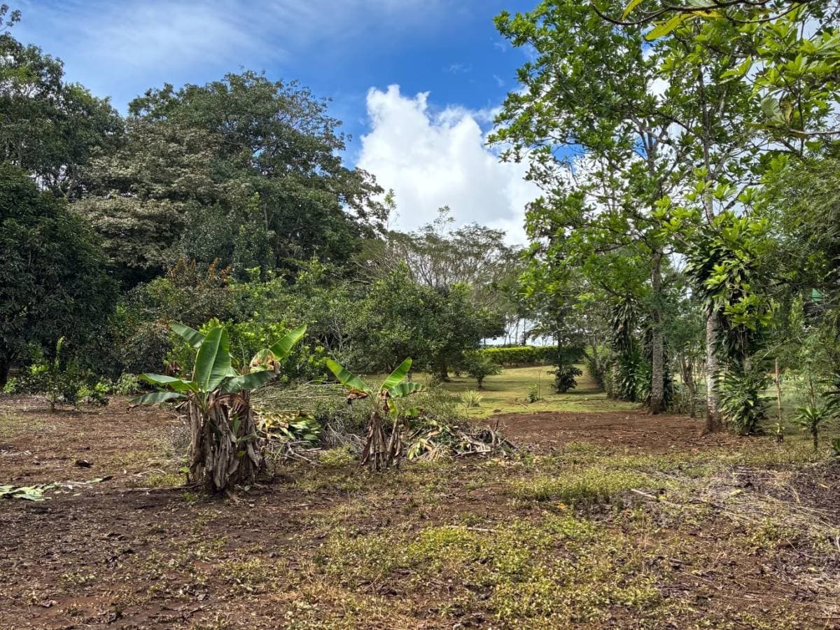 Property at San Isidro del General