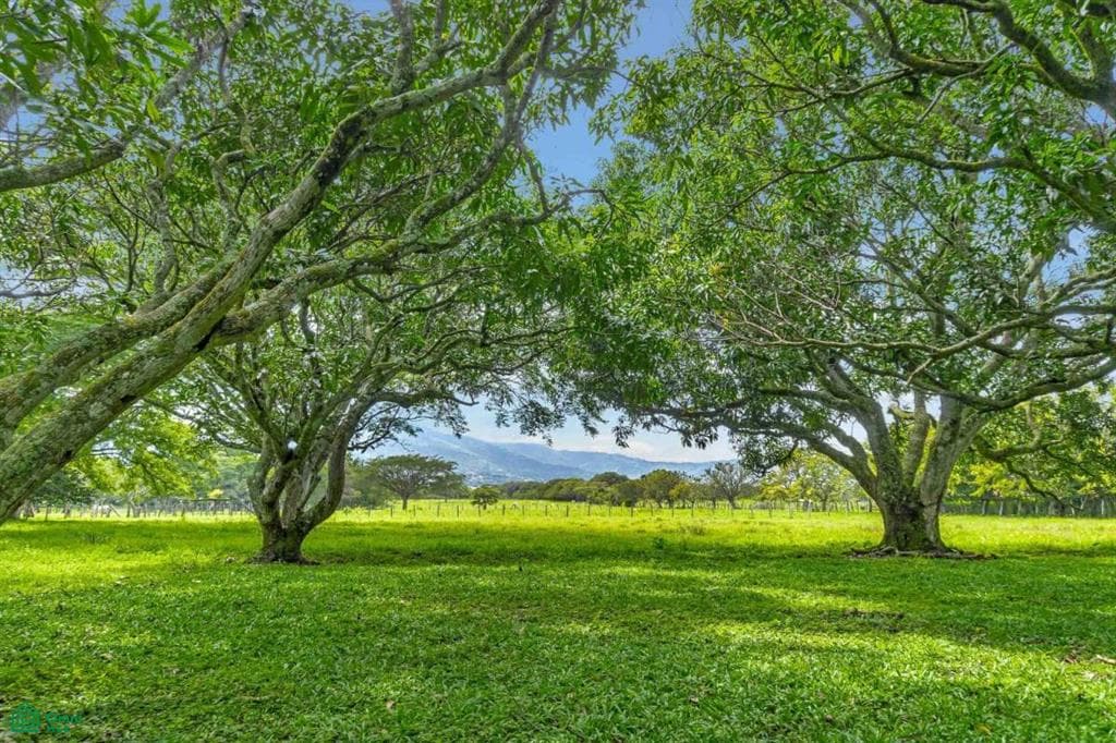 Terreno en Alajuela