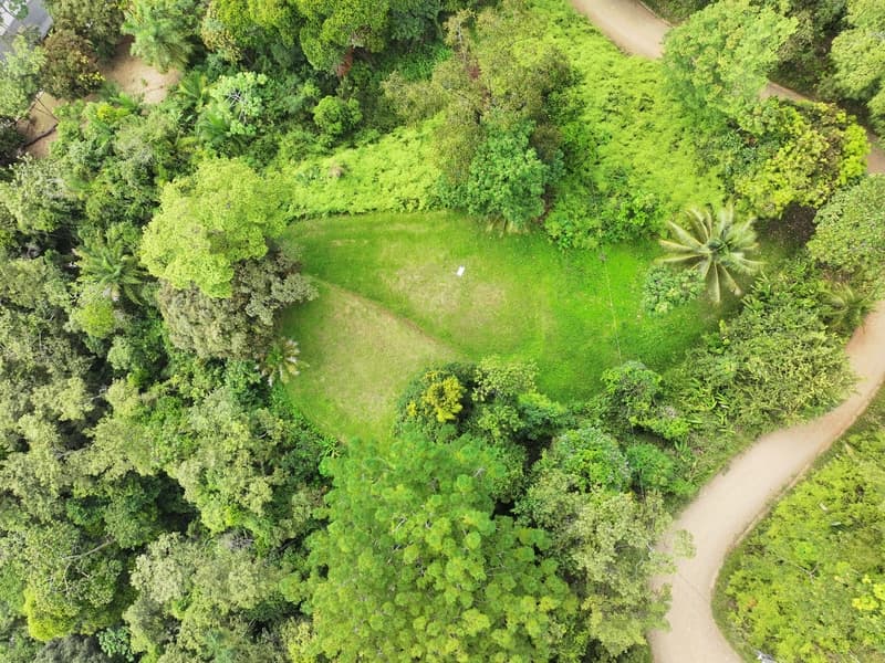 Land at Bahía Ballena