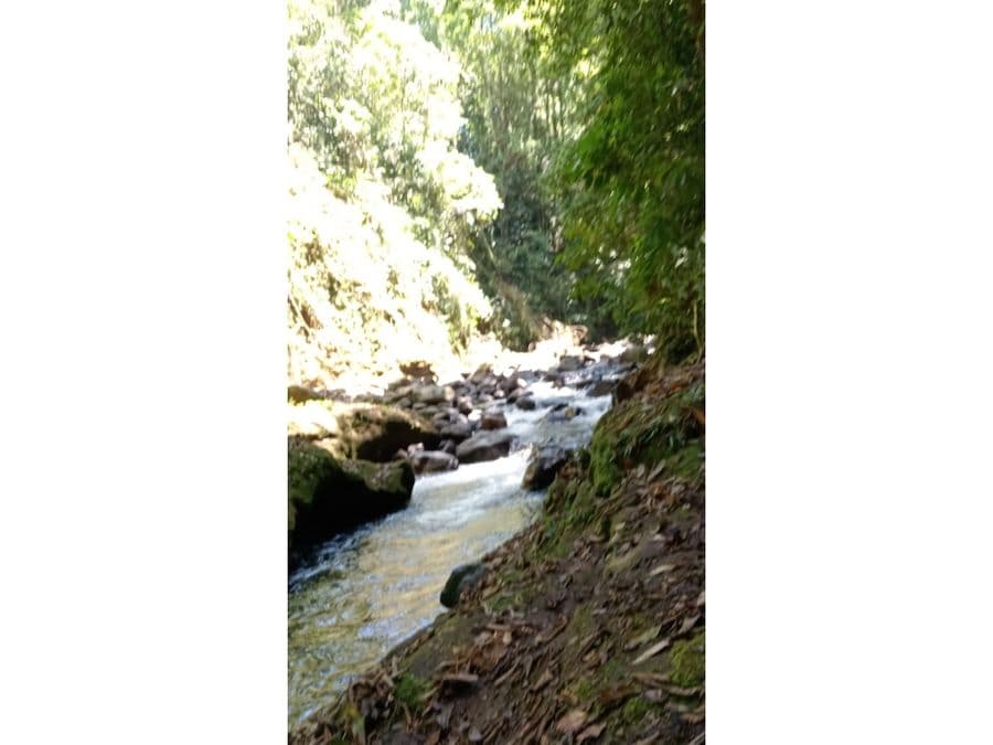Propiedad en Alajuela