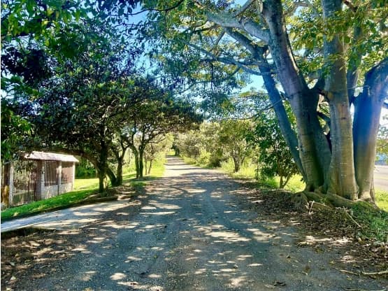 Propiedad en Heredia