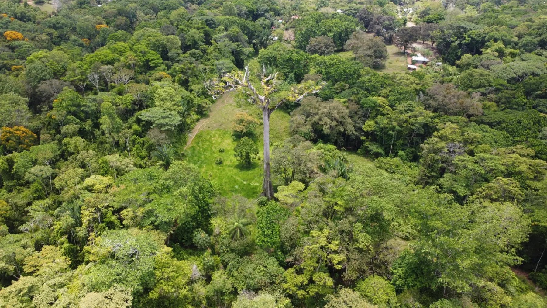 Terreno en Puerto Cortés