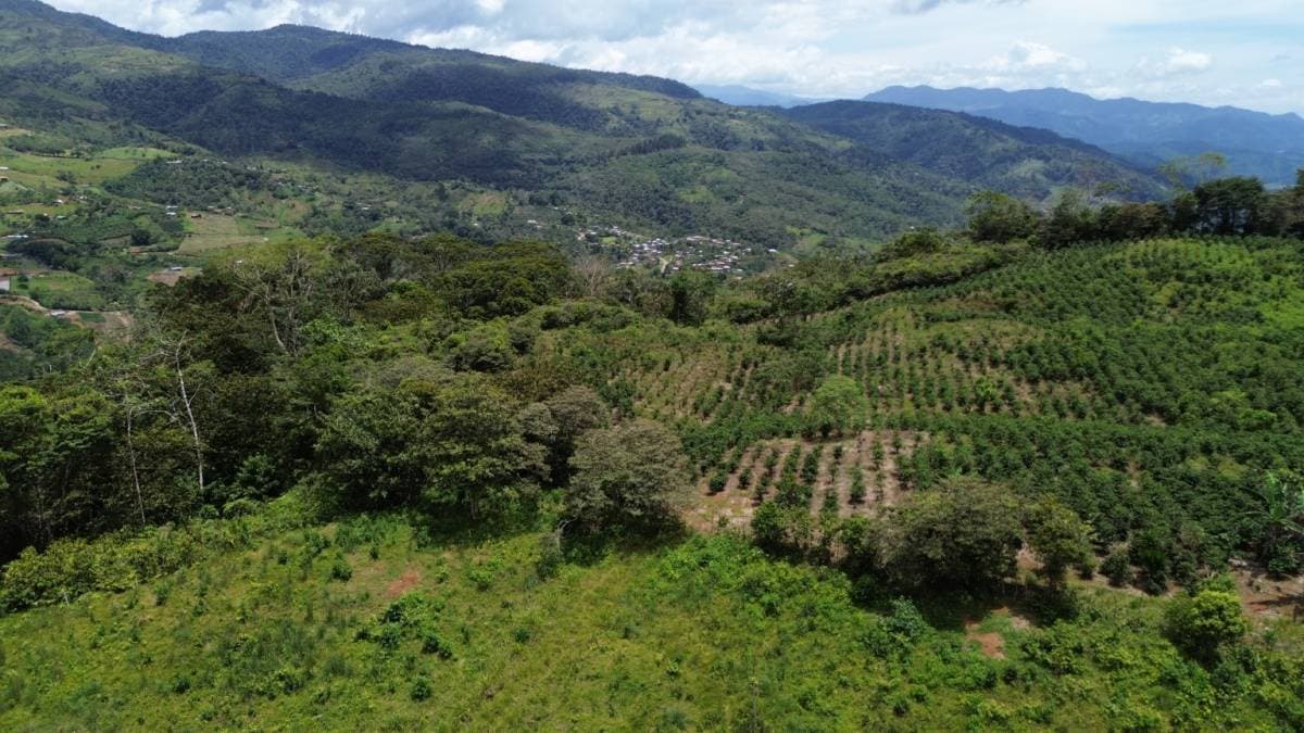Finca en Tuis