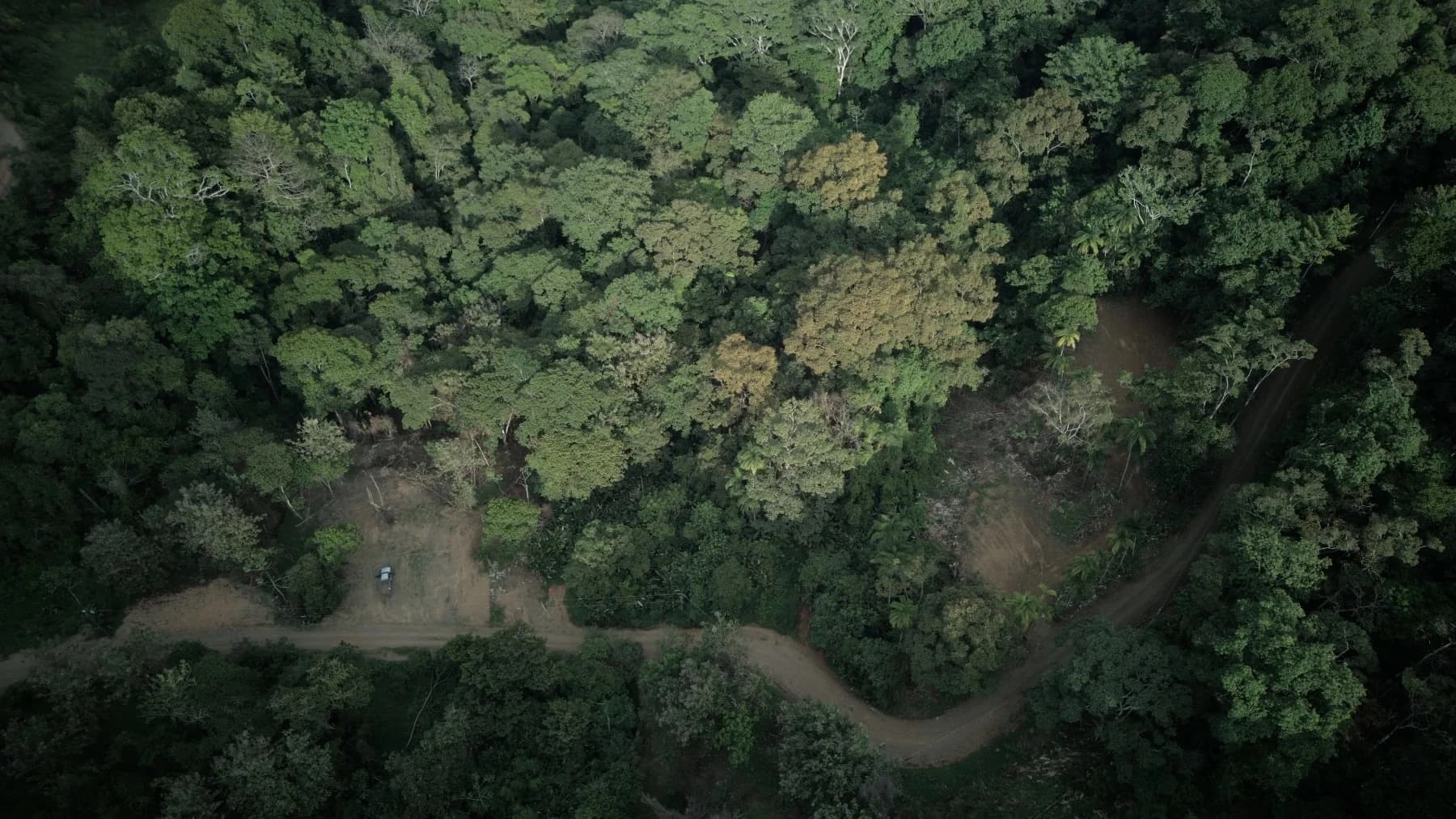 Terreno en Bahía Ballena
