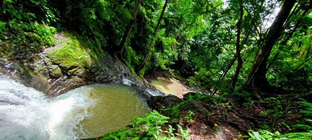 Propiedad en Parrita