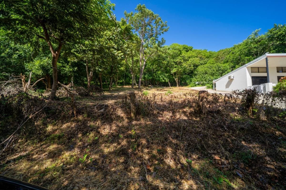 Property at Tamarindo
